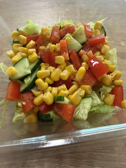 Fresh Mix salát